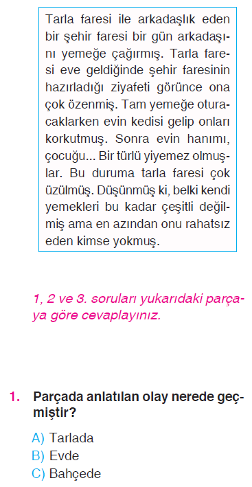 Paragrafta Anlam - Ünlem - Yazım Kuralları Testi