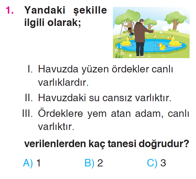 Canlılar Dünyasına Yolculuk - 3 Testi