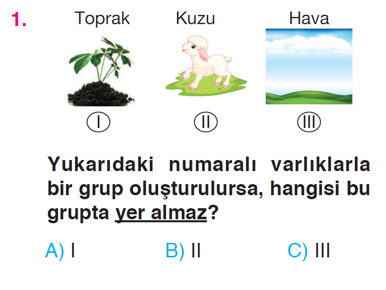 Canlılar Dünyasına Yolculuk - 1 Testi