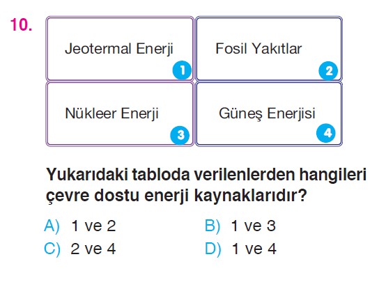 İnsan ve Çevre - 2 Testi