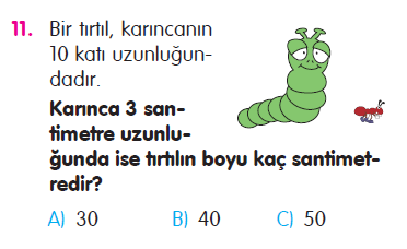 Uzunluk Ölçüleri Testi