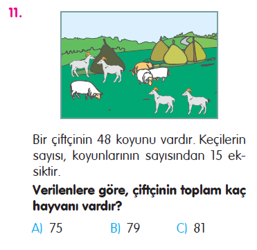 Doğal Sayılarla Çıkarma İşlemi Problemleri Testi