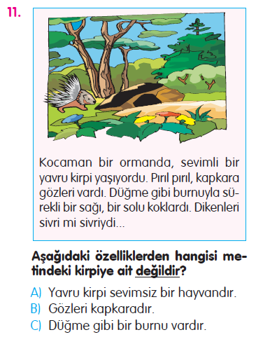 Paragraf - Sözcükte Anlam - Yazım Kuralları - Cümle Testi