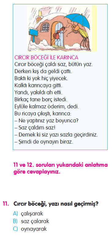 Cümle - Sözcükte Anlam - Noktalama İşaretleri Testi