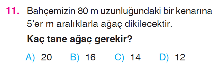 Doğal Sayılarla Bölme İşlemi Testi