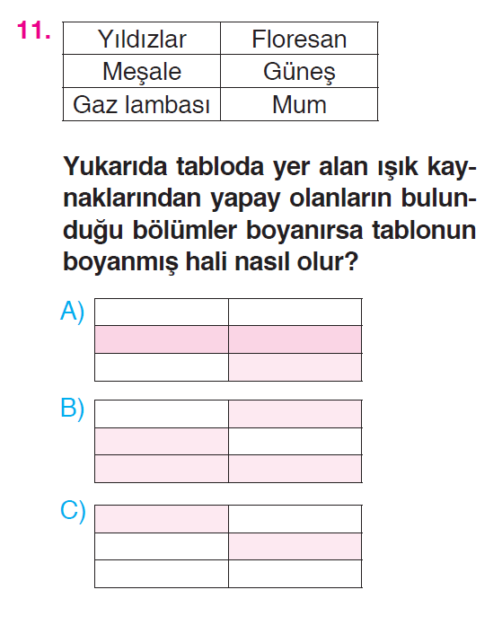 Çevremizdeki Işık ve Sesler - 1 Testi