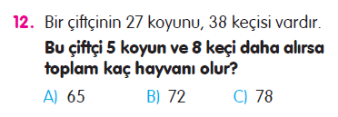 Doğal Sayılarla Toplama İşlemi Problemleri Testi