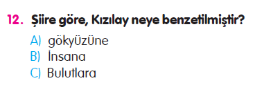 Paragraf - Cümle - Sözcükte Anlam - Yazım Kuralları - Şiir - 5N1K Testi