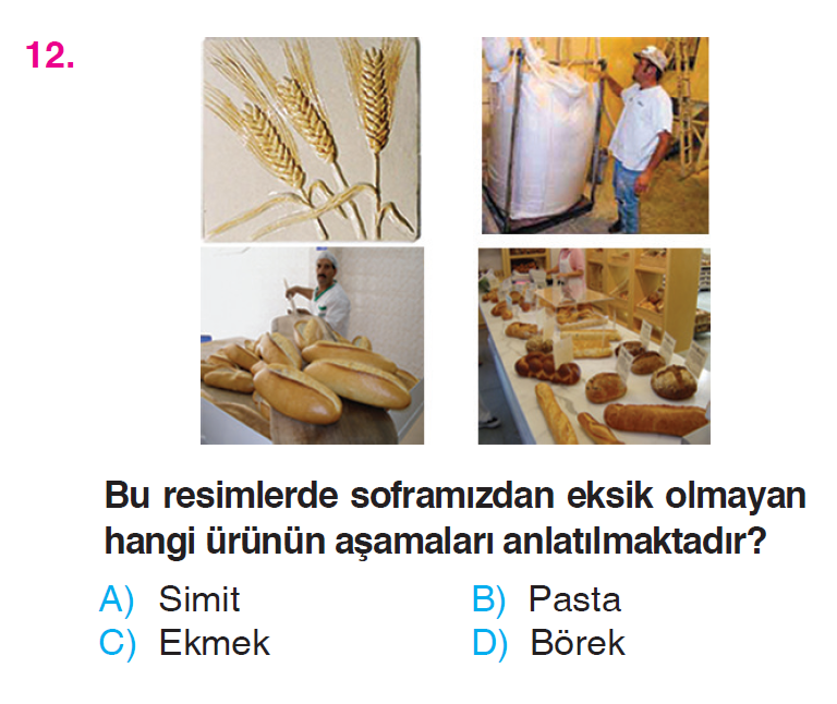 Üretim, Dağıtım ve Tüketim - 2 Testi