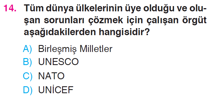 Küresel Bağlantılar Testi