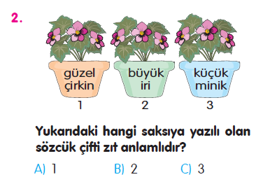 Cümle - Sözcükte Anlam - Noktalama İşaretleri Testi