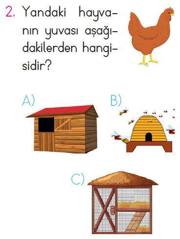 Doğada Hayat - 1 Testi
