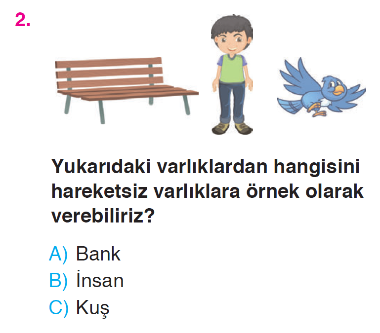 Kuvveti Tanıyalım - 1 Testi
