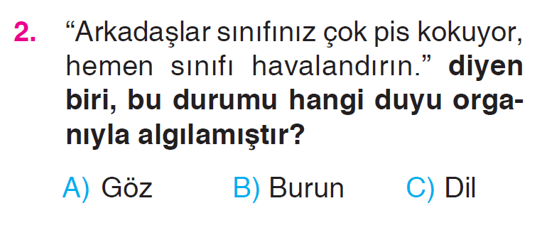 1 - 2 - 3 - 4 - 5 Tarama Testi