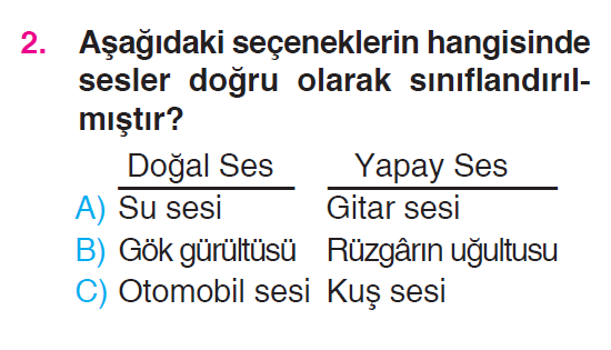 Çevremizdeki Işık ve Sesler - 3 Testi