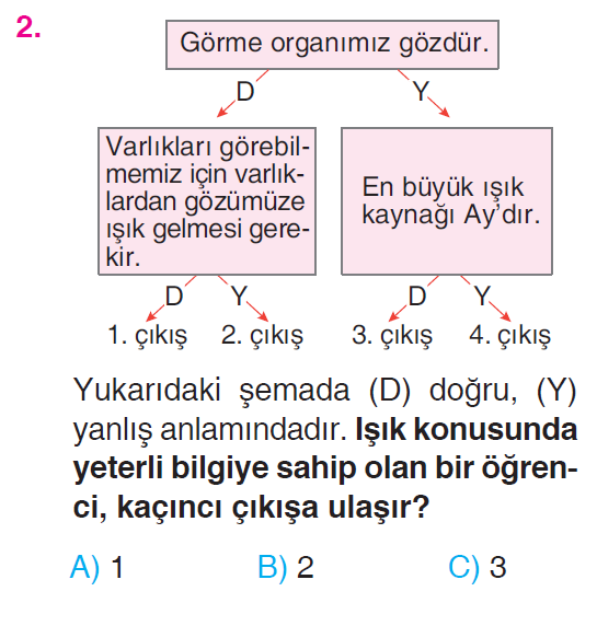 Çevremizdeki Işık ve Sesler - 1 Testi