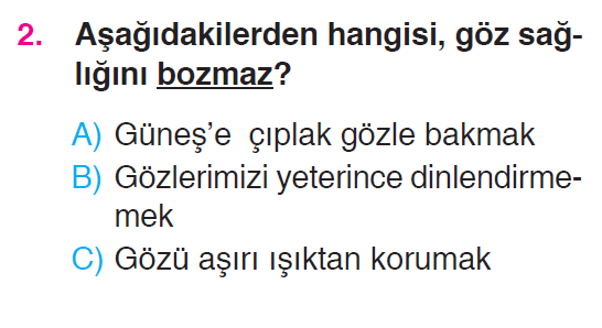 Beş Duyumuz - 2 Testi