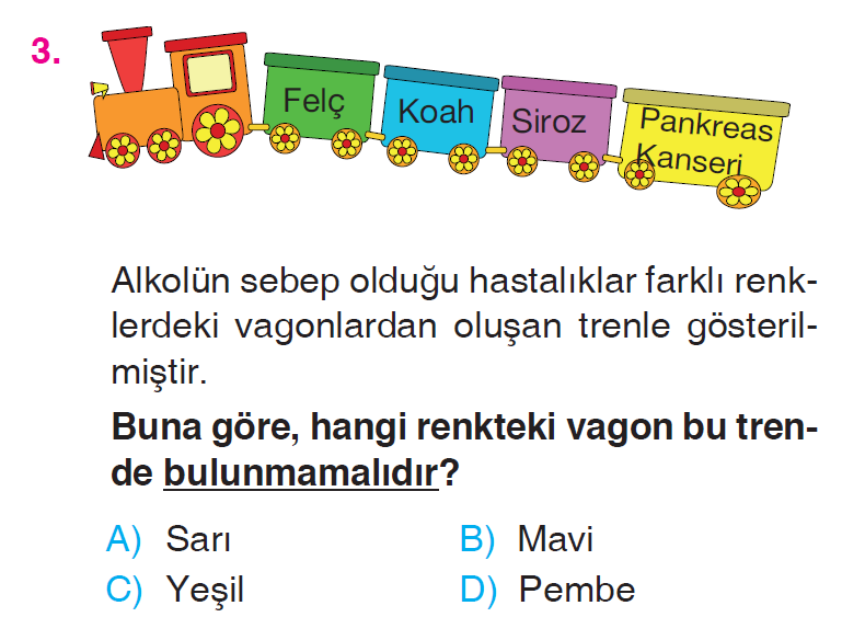 Besinlerimiz - 3 Testi