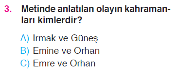 Paragrafta Anlam - Şiir Yorumlama - Hikayenin Unsurları Testi