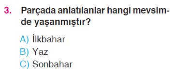 Paragrafta Anlam - Kesme İşareti - Konuşma Çizgisi - Sözcükte Anlam - Cümle Testi