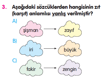 Cümle - Sözcükte Anlam - Noktalama İşaretleri Testi