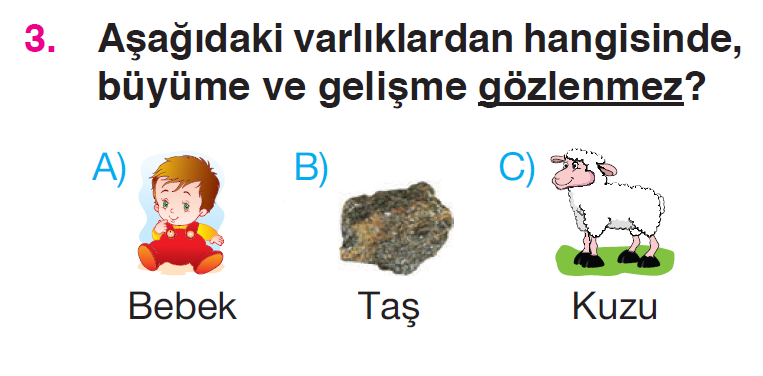 Canlılar Dünyasına Yolculuk - 3 Testi