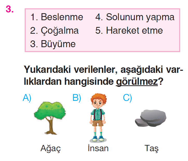 Canlılar Dünyasına Yolculuk - 1 Testi