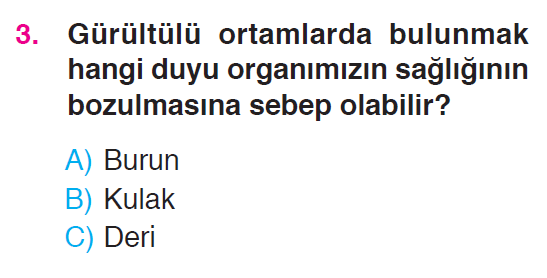 Beş Duyumuz - 2 Testi
