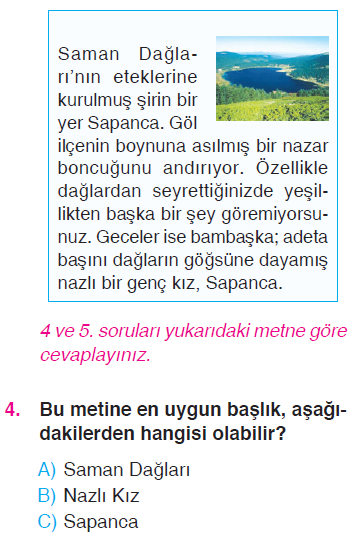 Paragrafta Anlam - Şiir Yorumlama - Hikayenin Unsurları Testi