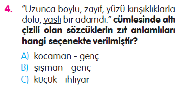 Paragraf - Cümle - Sözcükte Anlam - Yazım Kuralları - Şiir - 5N1K Testi