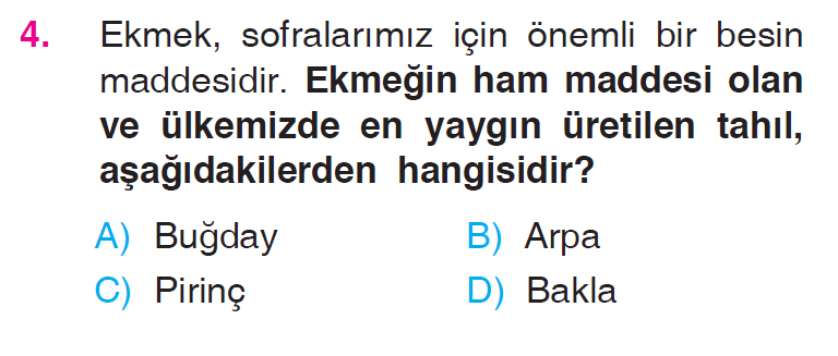 Üretim, Dağıtım ve Tüketim - 2 Testi