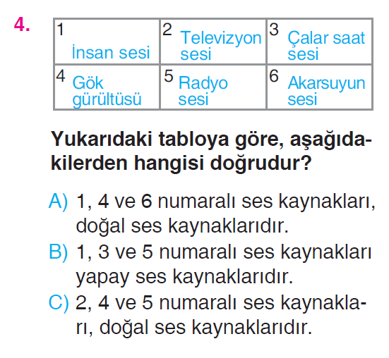 Çevremizdeki Işık ve Sesler - 3 Testi