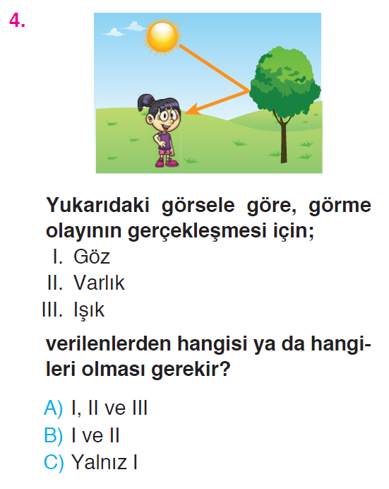 Çevremizdeki Işık ve Sesler - 1 Testi