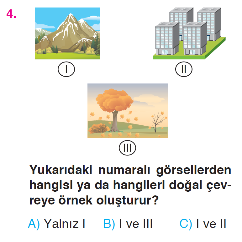Canlılar Dünyasına Yolculuk - 3 Testi
