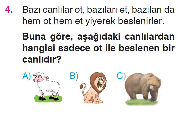 Canlılar Dünyasına Yolculuk - 1 Testi