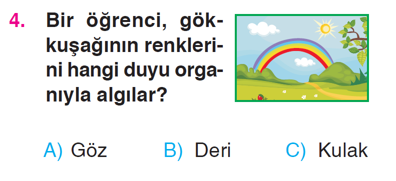 Beş Duyumuz - 1 Testi