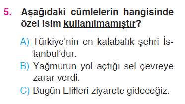 Paragrafta Anlam - Şiir Yorumlama - İki Nokta - Oluş Sırası- İsimler Testi