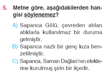 Paragrafta Anlam - Şiir Yorumlama - Hikayenin Unsurları Testi