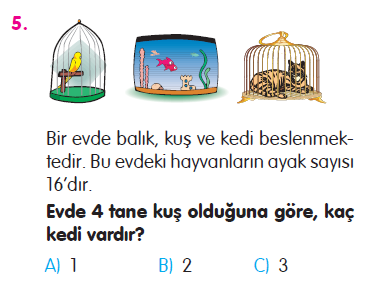 Doğal Sayılarla Toplama İşlemi Problemleri Testi
