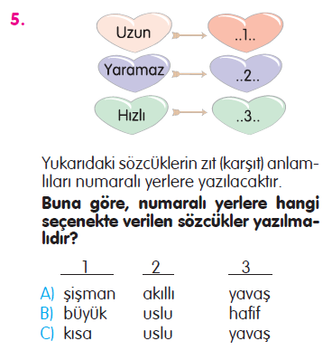 Paragraf - Cümle - Sözcükte Anlam - Noktalama İşaretleri Testi