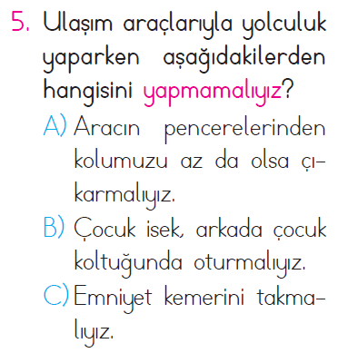 Güvenli Hayat - 2 Testi