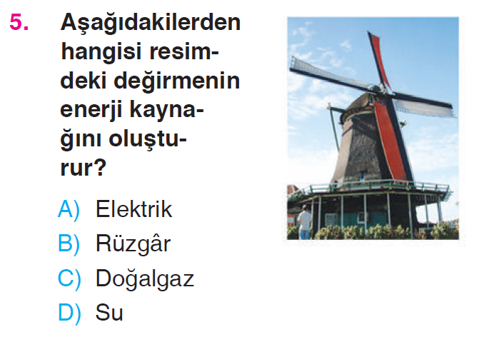 Küresel Bağlantılar Testi