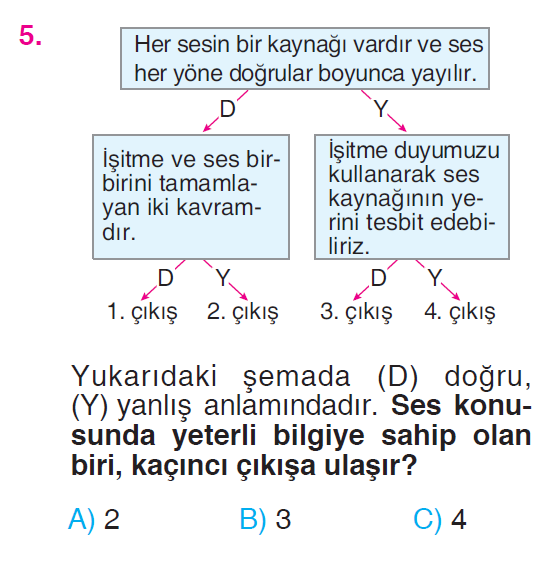 Çevremizdeki Işık ve Sesler - 3 Testi