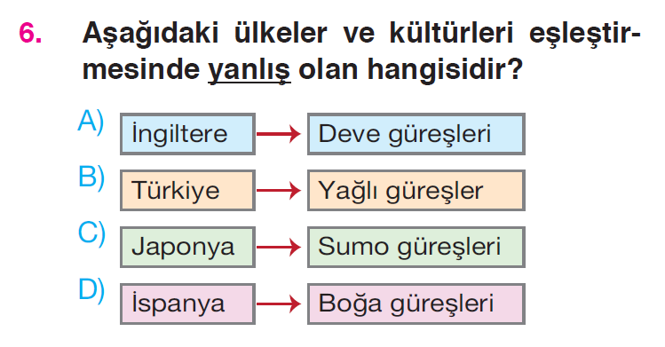 Küresel Bağlantılar Testi