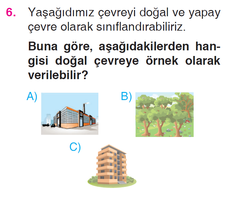 Canlılar Dünyasına Yolculuk - 1 Testi