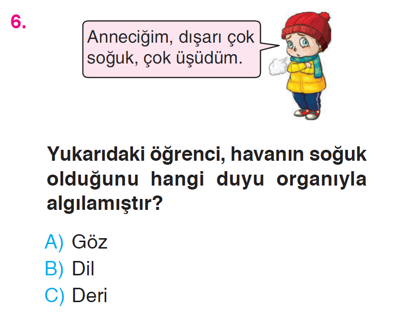 Beş Duyumuz - 1 Testi