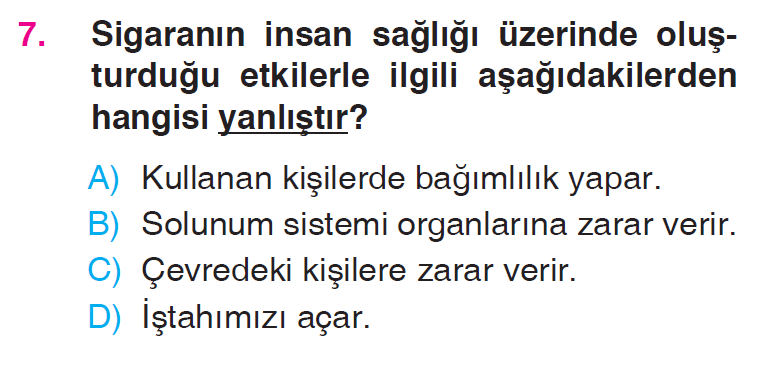 Besinlerimiz - 3 Testi