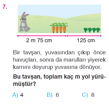 Uzunluk Ölçme Testi