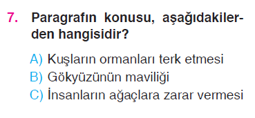 Paragrafta Anlam - Şiir Yorumlama - Hikayenin Unsurları Testi