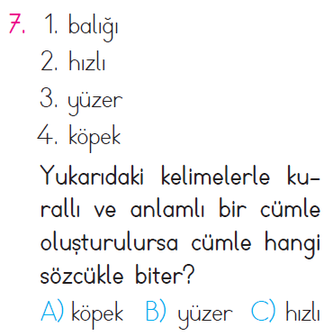Anlama - Kurallı ve Anlamlı Cümle - Kelime Testi